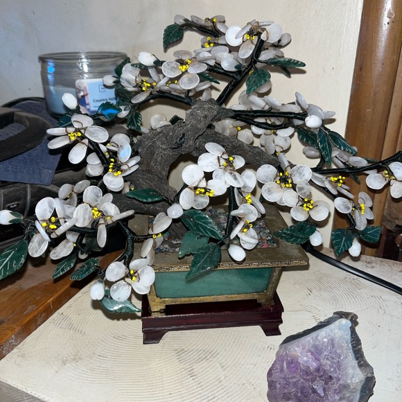 Meet your Posher, Lorenza - Picture 2 of 3